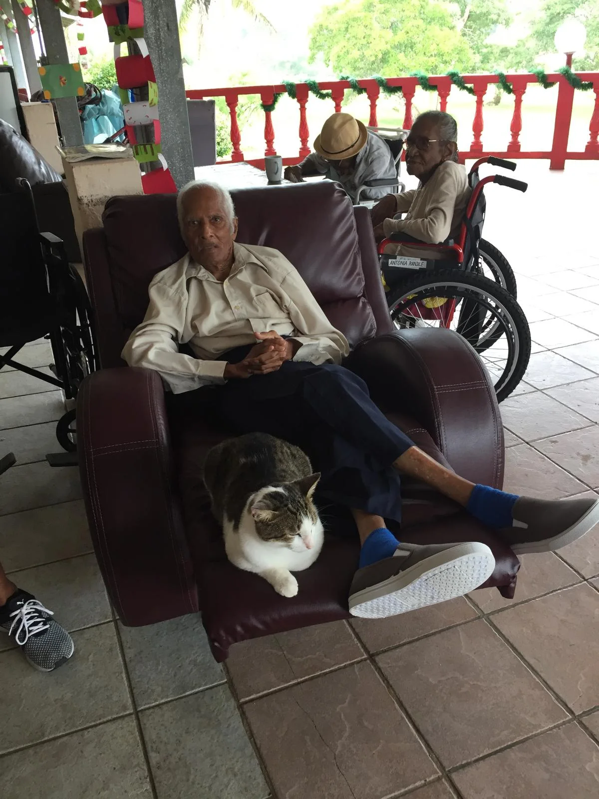 Our guest enjoy: Great company, Clean and peacful enviorment, Safty, 3 meals a day. Attention and Affection from our trained staff.